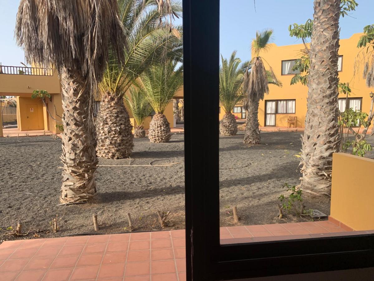 Apartamentos Corralejo Playa Oasis エクステリア 写真