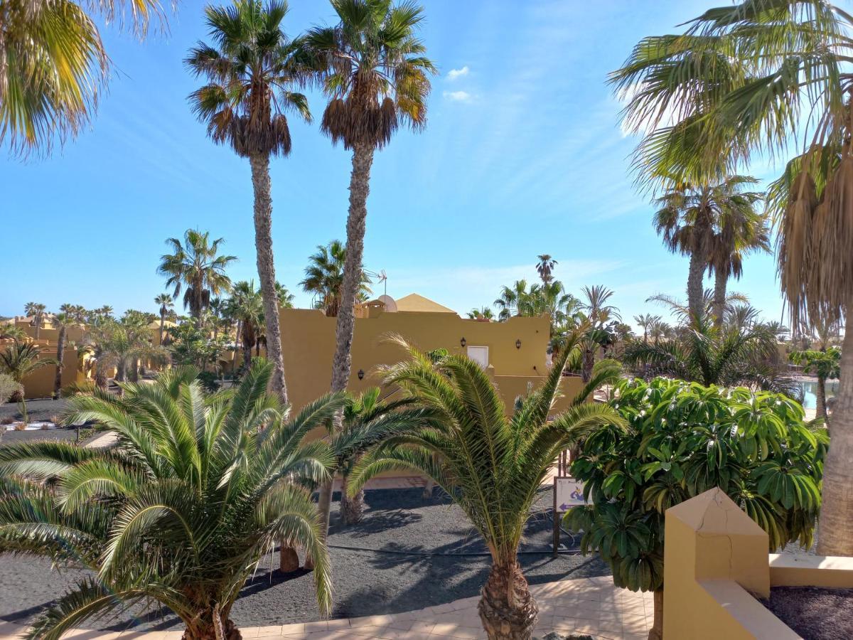 Apartamentos Corralejo Playa Oasis エクステリア 写真