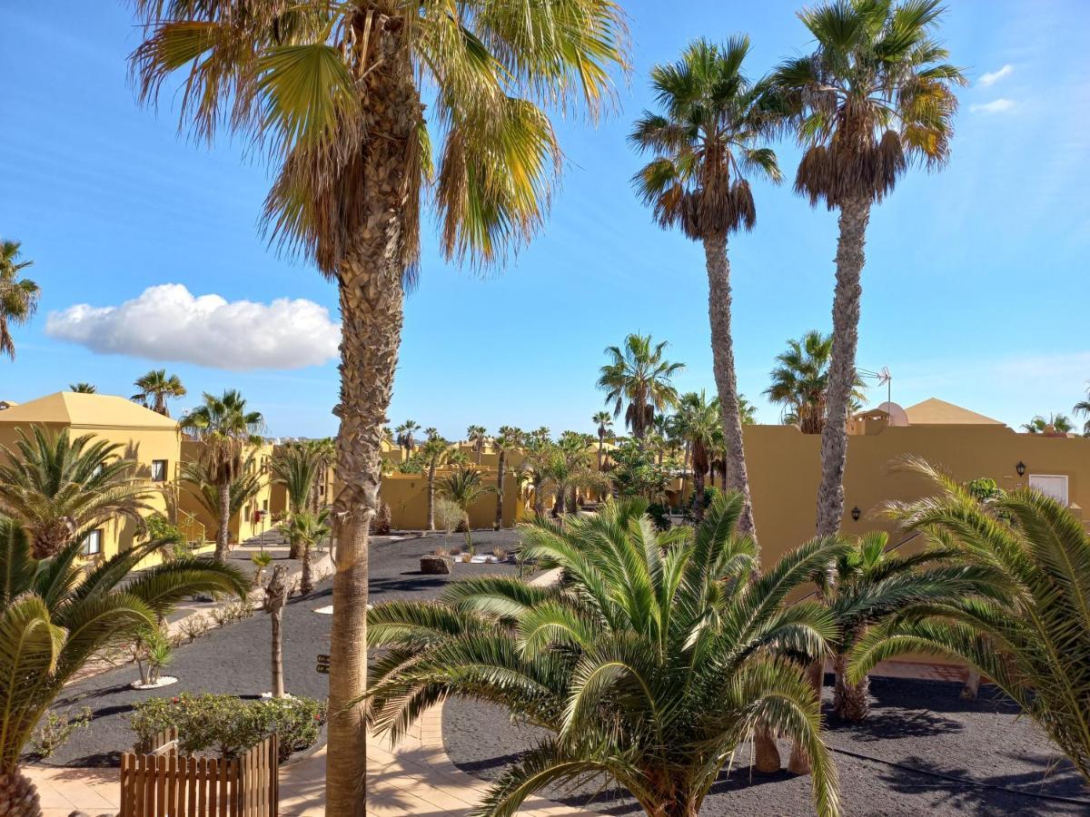Apartamentos Corralejo Playa Oasis エクステリア 写真